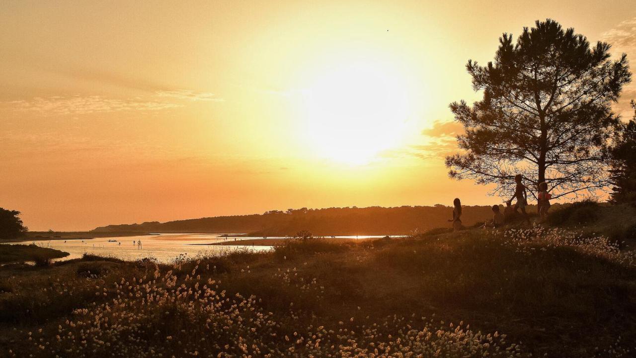 Villa Des Loups De Mer Talmont-Saint-Hilaire エクステリア 写真