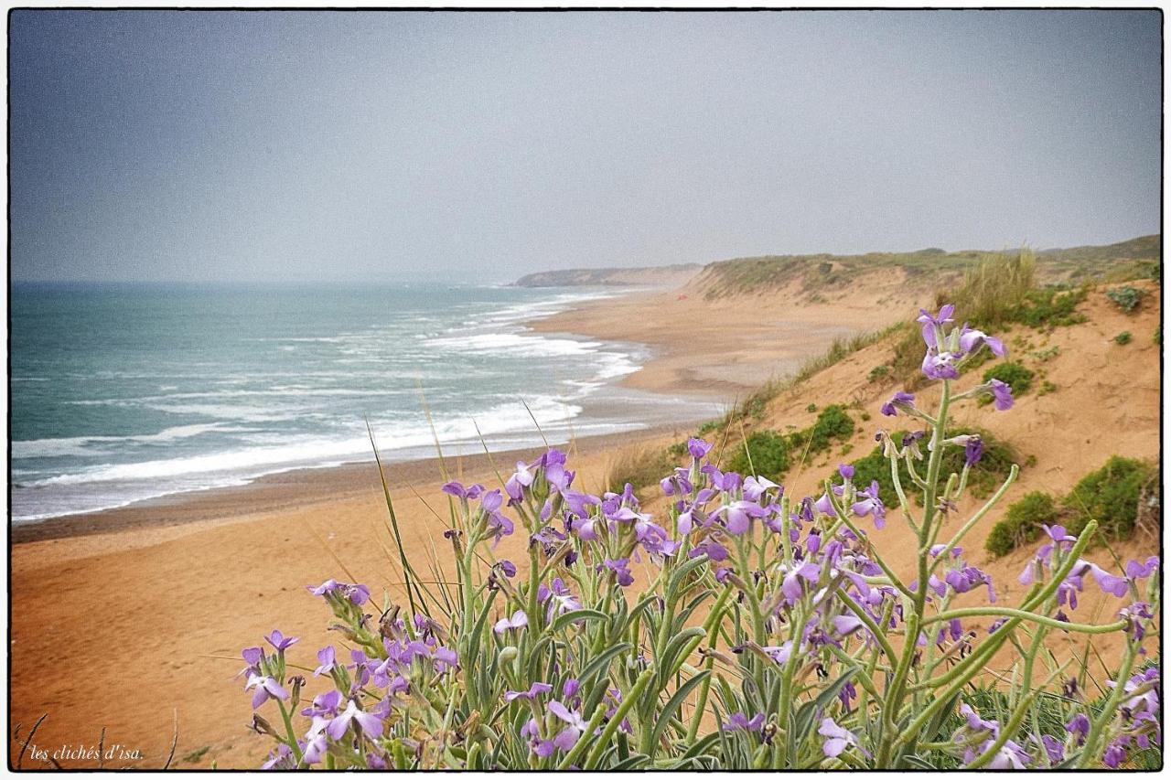 Villa Des Loups De Mer Talmont-Saint-Hilaire エクステリア 写真
